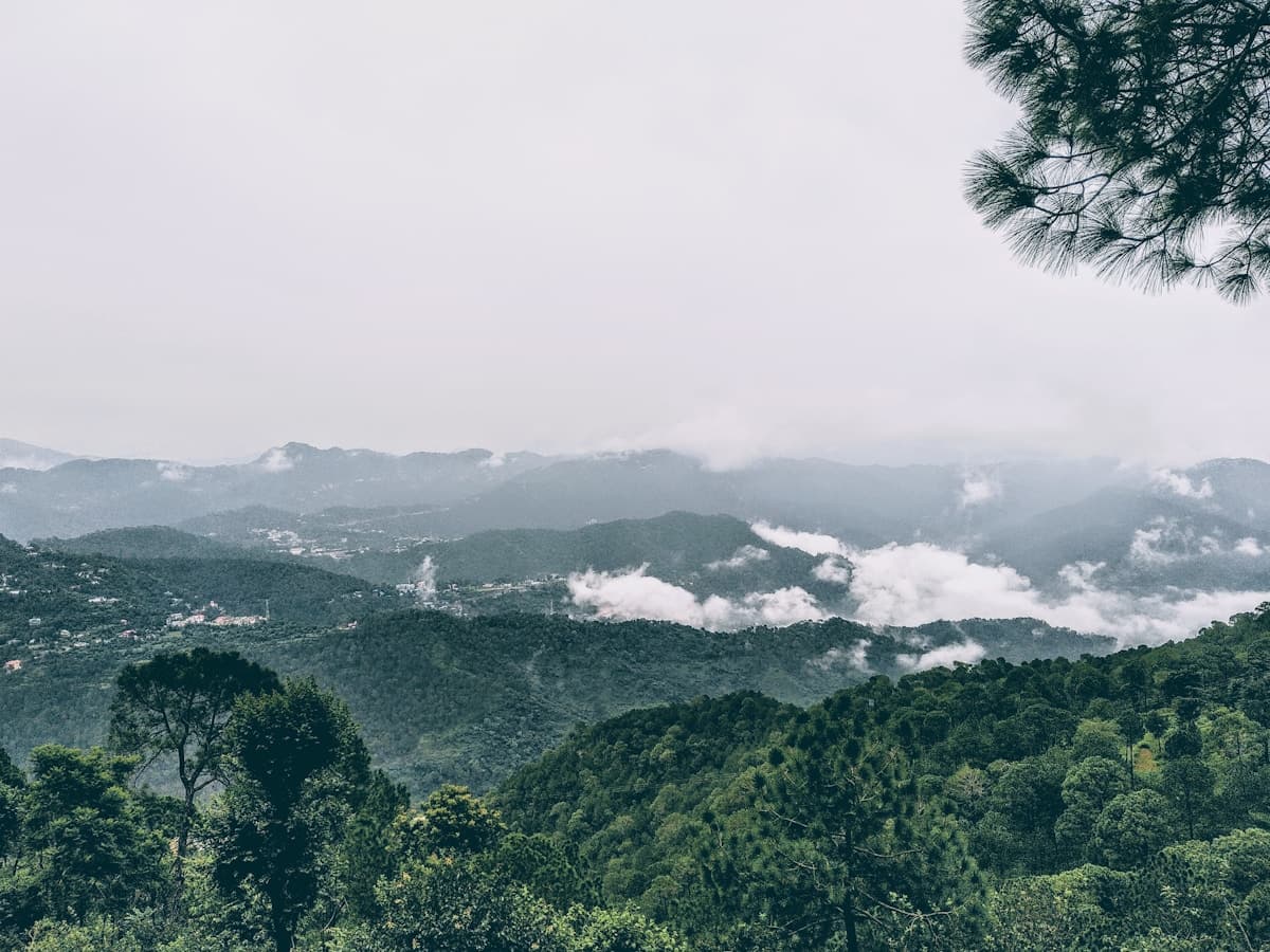 Monkey Point Sunset – Kasauli