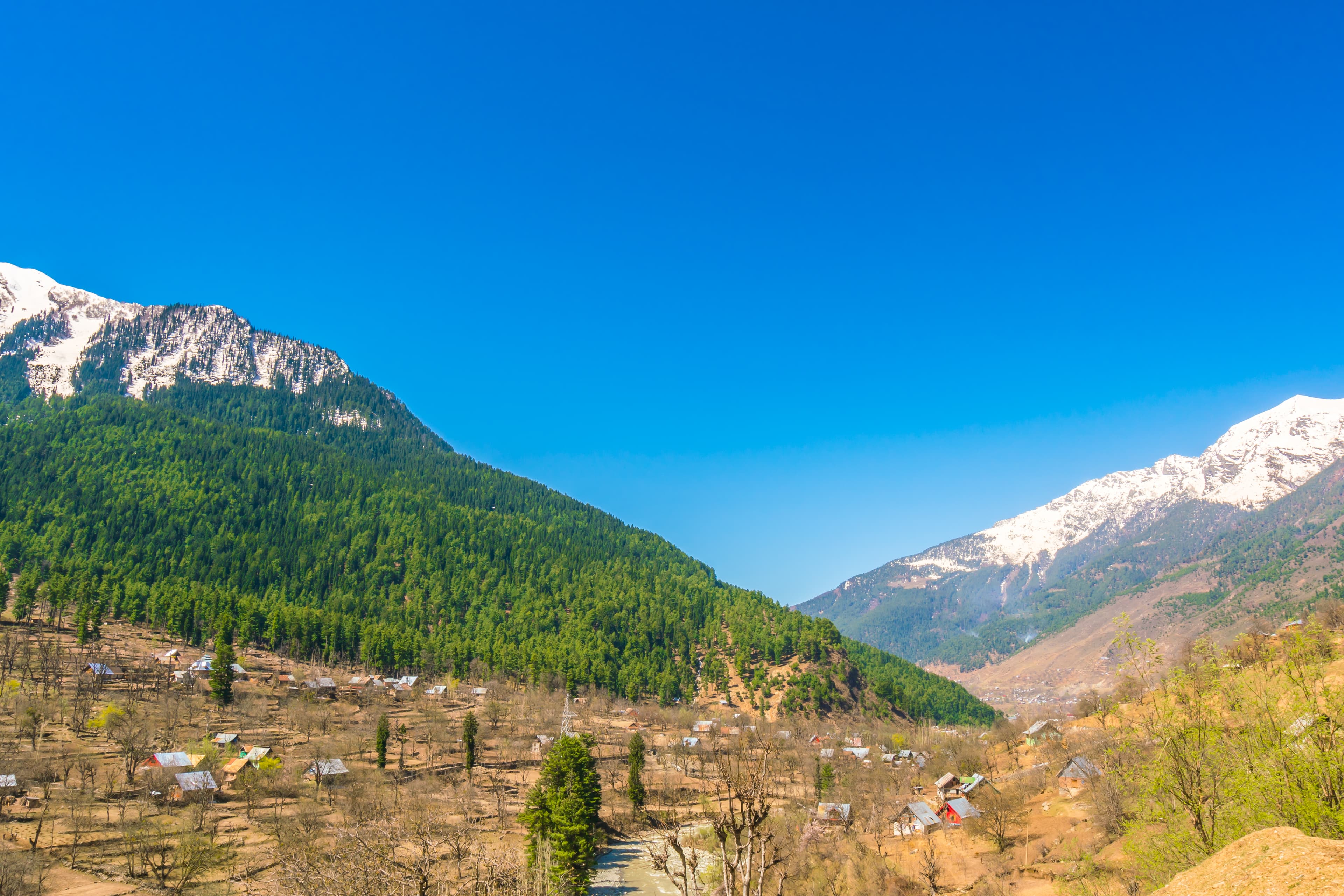 Morning Tea with Parvati Valley View